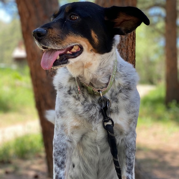 Meet your Posher, Megan - Picture 1 of 1